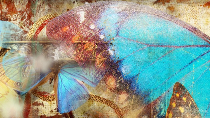 abstract-butterfly-art
