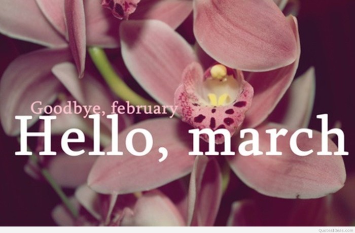 Spring-photo-Goodbye-february-hello-March