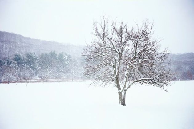qtsl-invierno-winter-2011