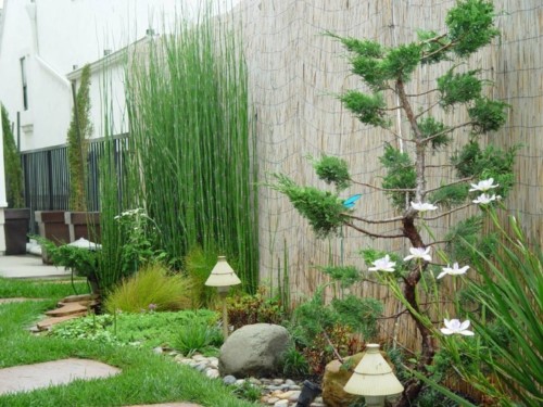 jardines-pequeños-cañas-bambu